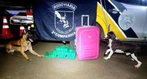 0b4eec7a-07a1-460a-954f-beab1757001a