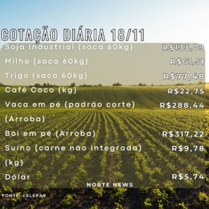 WhatsApp Image 2024-11-18 at 11.50.55