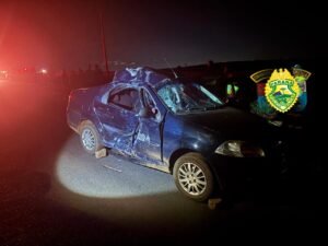 c1d5d5b1-13ae-41f0-8b00-1b7880dde042