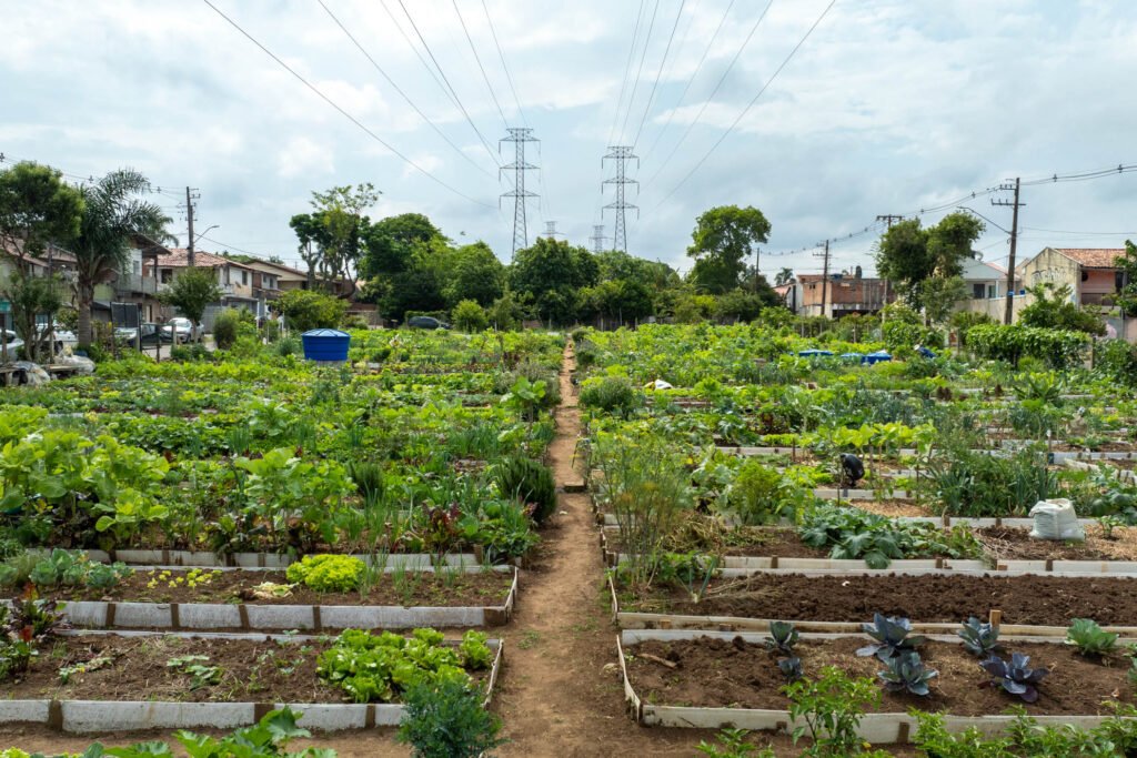 6793fbf590bbacultivar_energia_curitiba