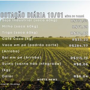 WhatsApp Image 2025-01-10 at 11.45.14