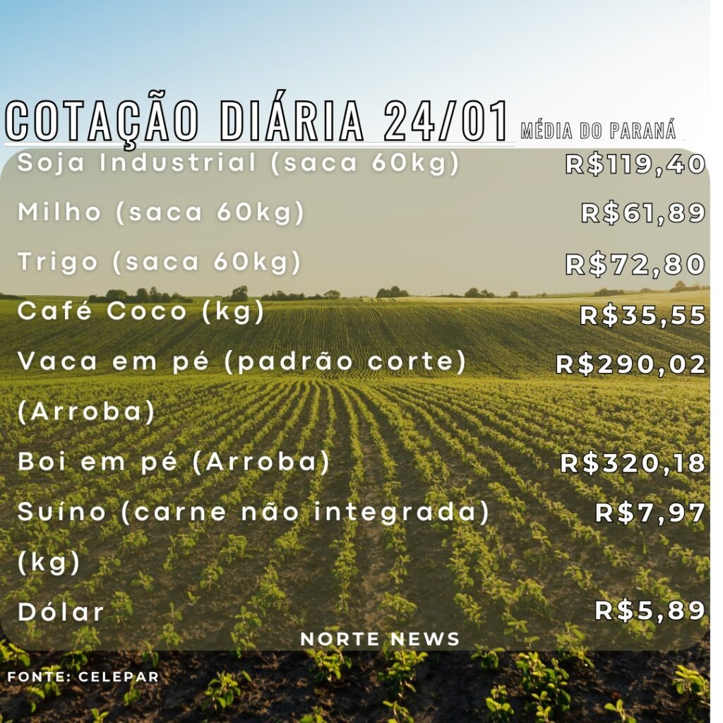 WhatsApp Image 2025-01-24 at 13.16.46