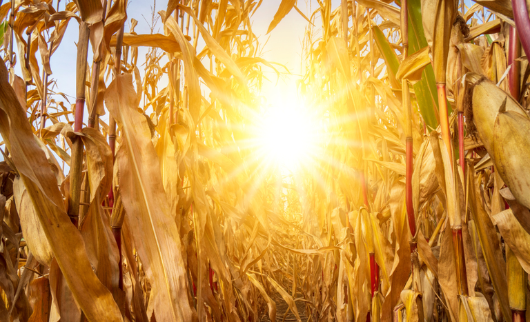 e2310101-ce63-4334-9c59-1a1bfa611991