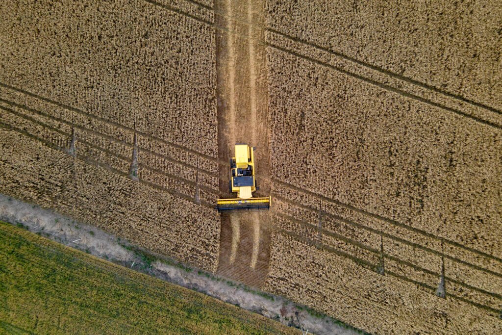 31.09.2021 - Plantação de trigo, região de Tibagi/PrFoto Gilson Abreu/AEN
