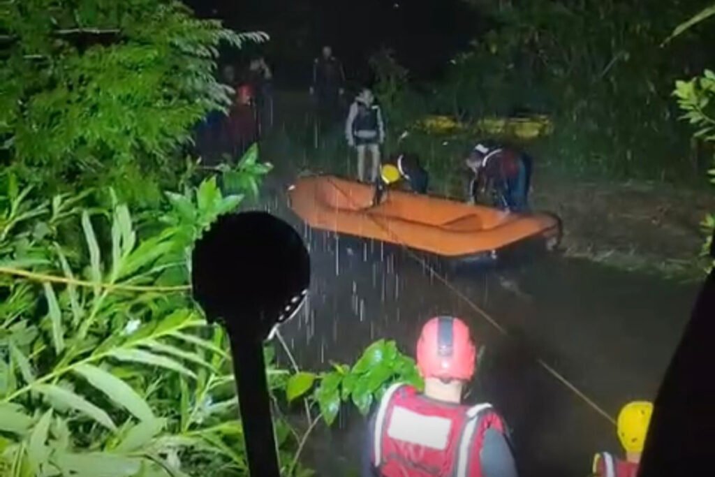 whatsapp_image_2025-01-12_at_10.21.21