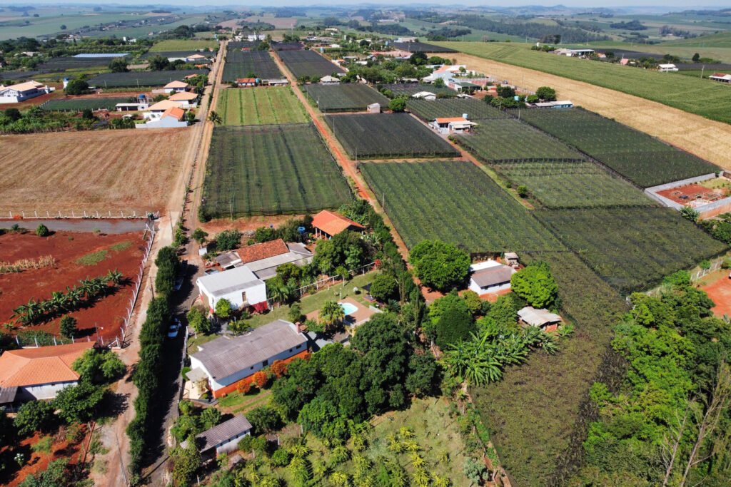 marialva_-uva-ari_dias_0