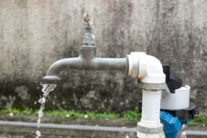 whatsapp_image_2025-02-27_at_15.06.28