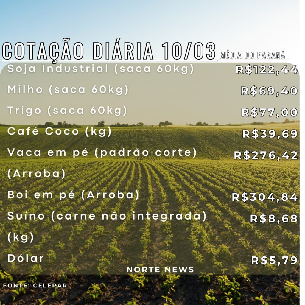 WhatsApp Image 2025-03-10 at 12.04.42