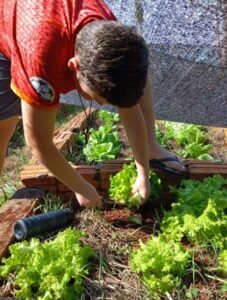 Transformando-plastico-em-vida---Laranjeiras---1