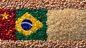 d7e3726b7e92fafd61c8251971fcb424_medium