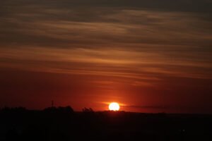 img_8219