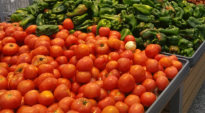 7b88bf2a-eb5a-40a8-a89b-7755e63c8f15