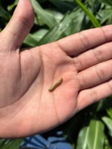 eb8bfc51e70191b57c5dcf1459ee234a_medium