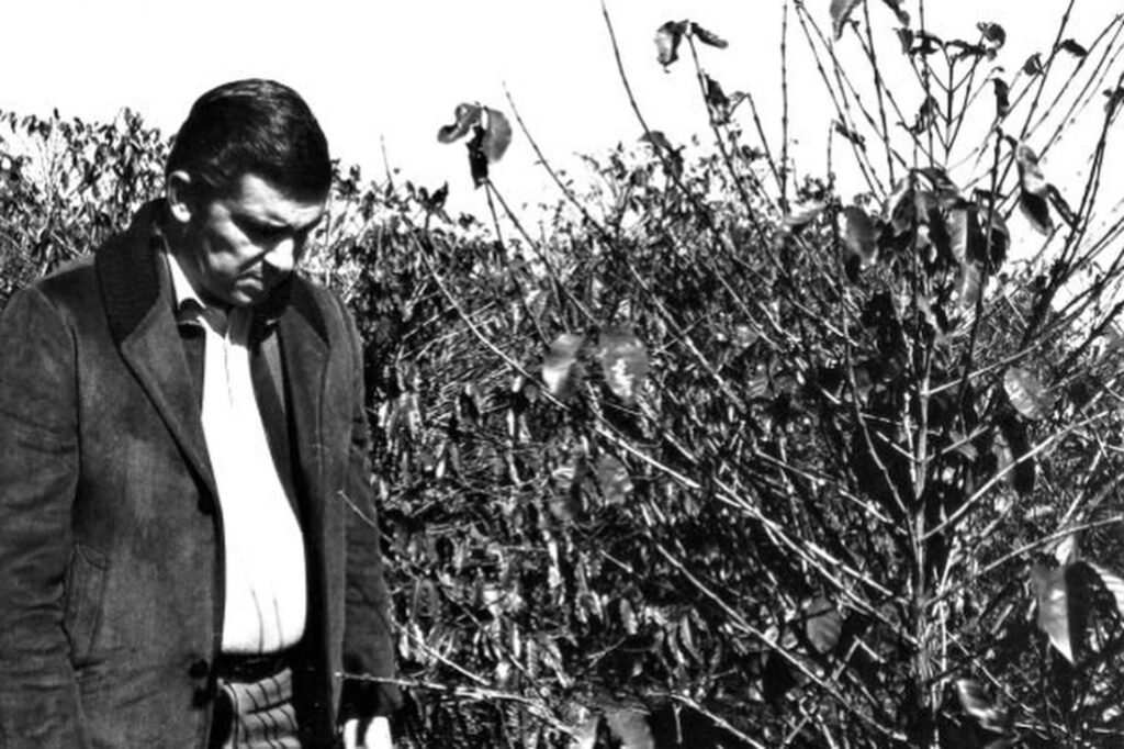 whatsapp_image_2025-07-18_at_08.31.35