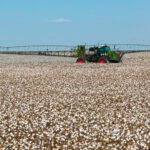 Dia Mundial do Algodão: Fendt contribui para expansão do setor algodoeiro com tecnologia de ponta no campo